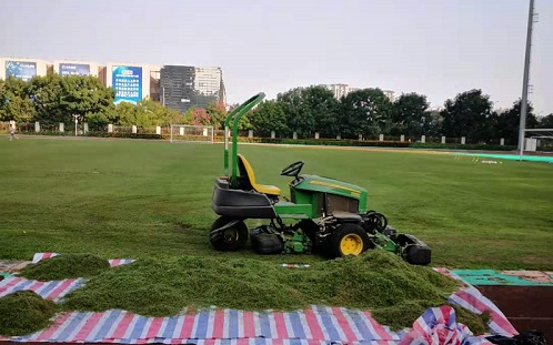 专业足球场草坪专业维护
