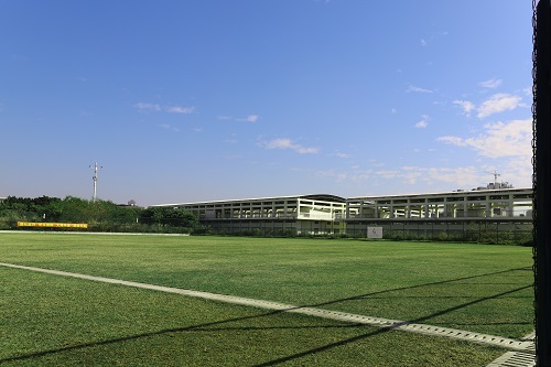 足球场草坪床土结构的条件及特点