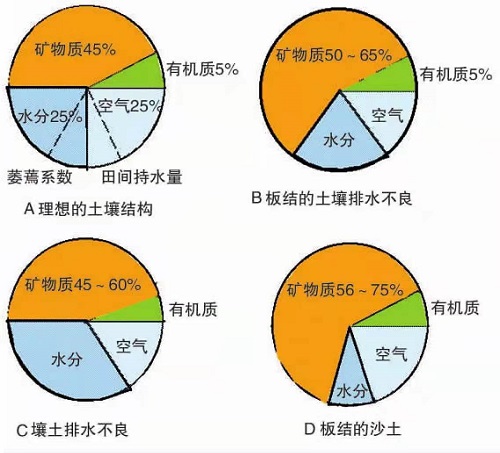 足球场草坪土壤质地与结构